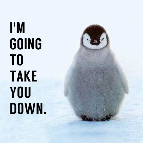 Google Penguin: Why an Ongoing Update Could be Good for SEO